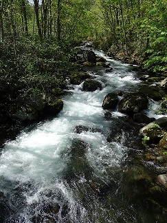 f0360815_16233638.jpg