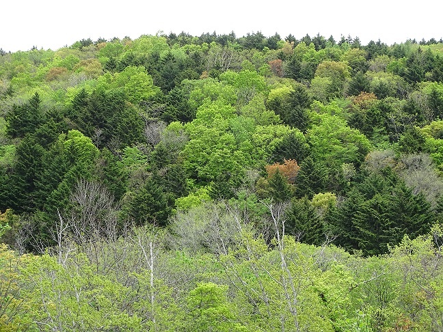 f0360815_16233795.jpg