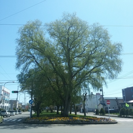 d0190719_08001165.jpg