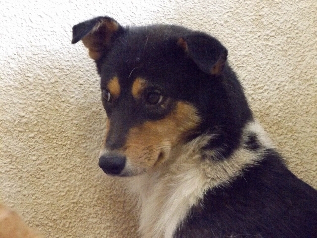 f0078320_16182210.jpg