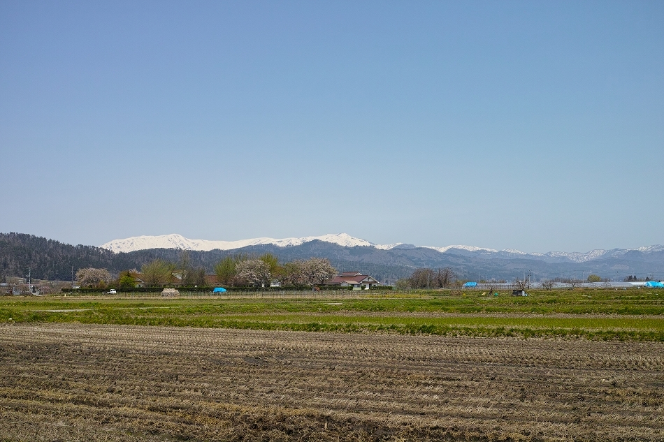 b0338222_23285016.jpg