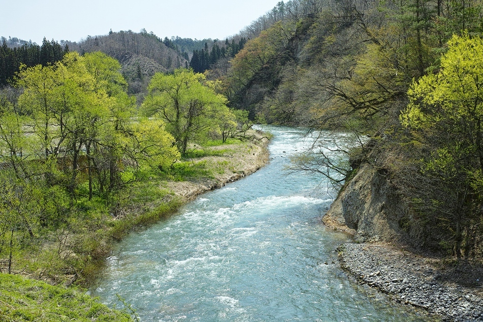 b0338222_23312923.jpg
