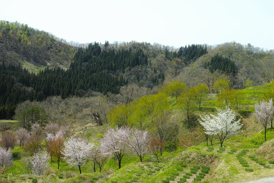 b0338222_23321514.jpg