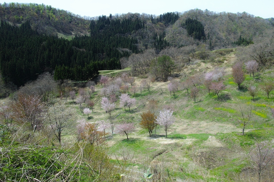 b0338222_23321749.jpg