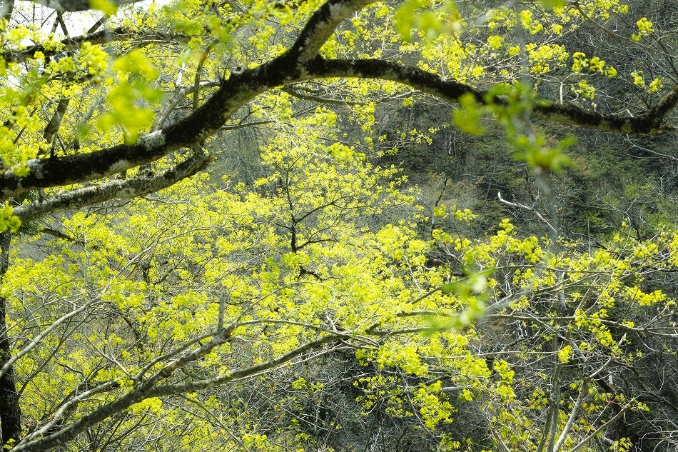 b0338222_23340680.jpg