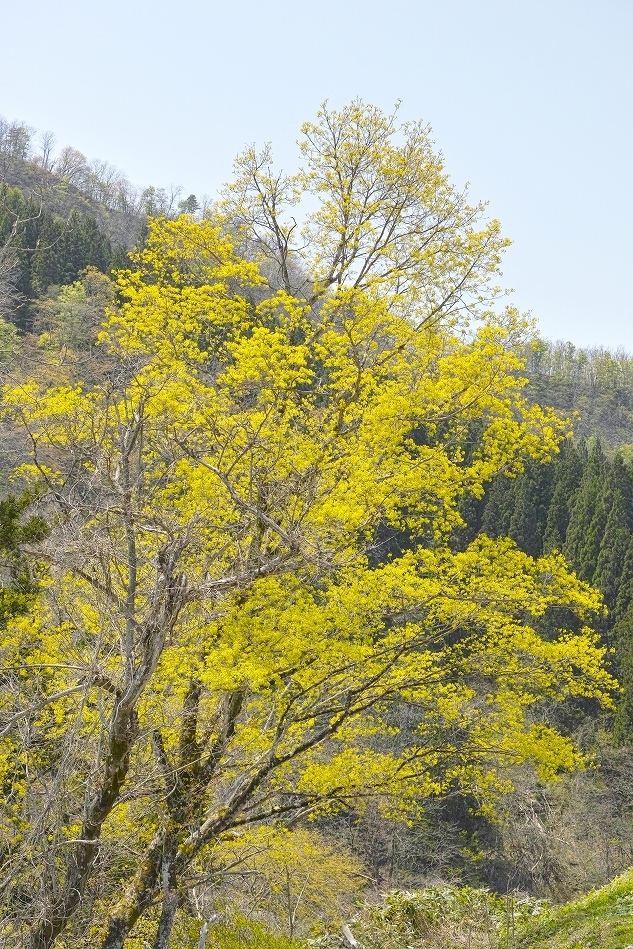 b0338222_23340796.jpg
