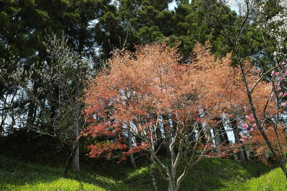 b0338222_23594080.jpg