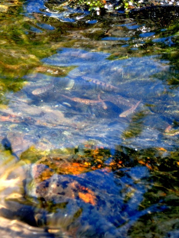 d0091323_12241730.jpg