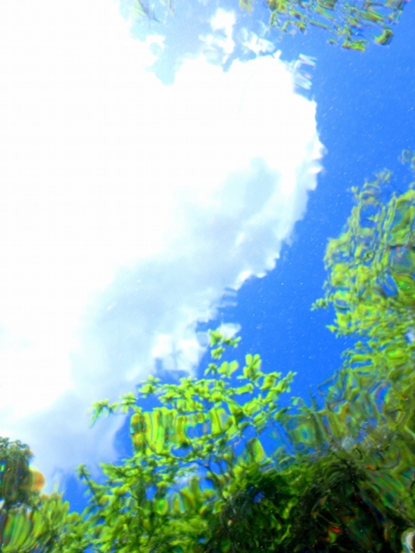 d0091323_12253902.jpg