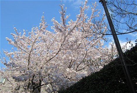 c0045628_17390454.jpg