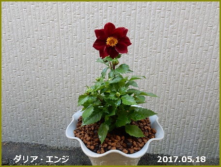 e0033229_18243293.jpg