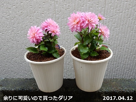 e0033229_1894475.jpg
