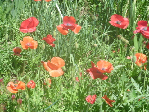 b0246036_14223957.jpg