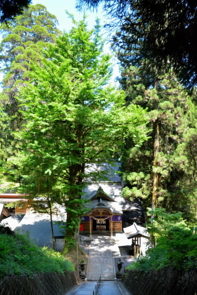 e0056537_18082288.jpg