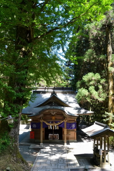 e0056537_18082968.jpg