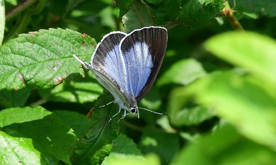 d0285540_17542419.jpg