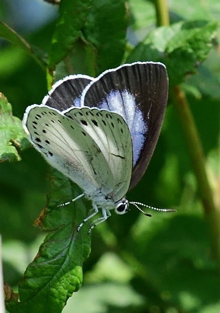 d0285540_17542741.jpg