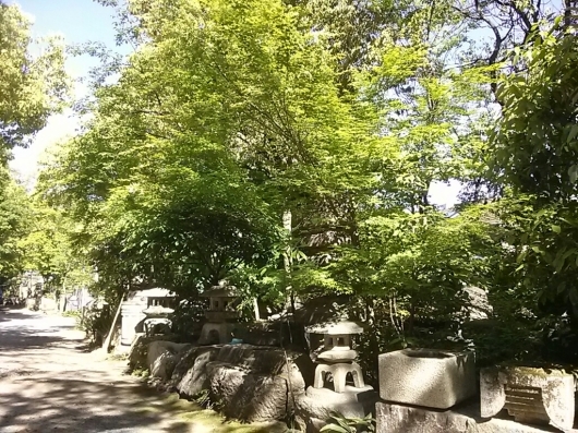 e0126541_16114588.jpg