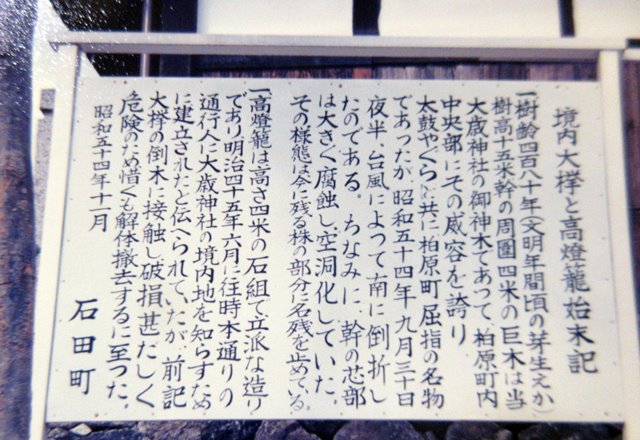 b0009849_1540716.jpg