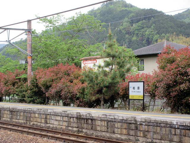 b0009849_1543680.jpg