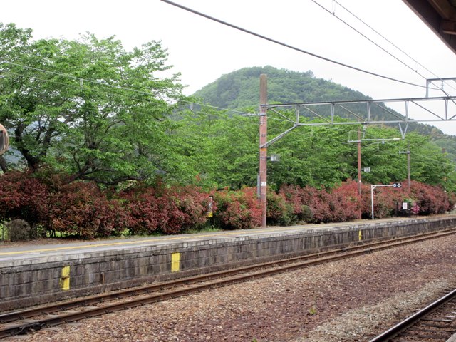 b0009849_15442999.jpg