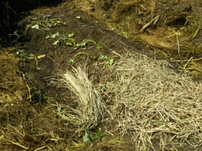 c0330749_22381225.jpg