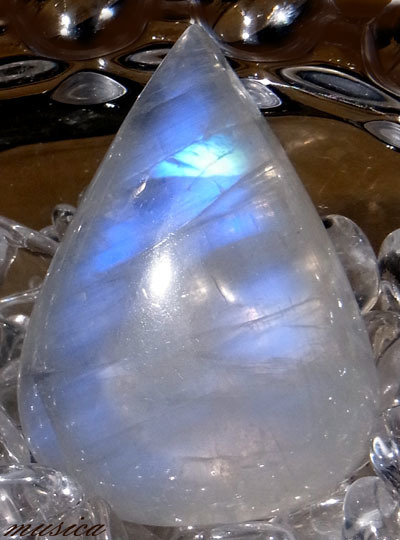 f0351853_03575925.jpg