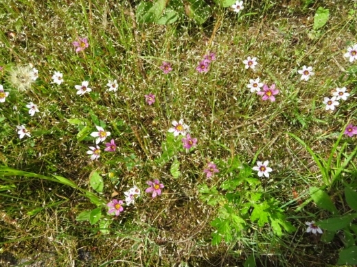 a0018655_14591539.jpg