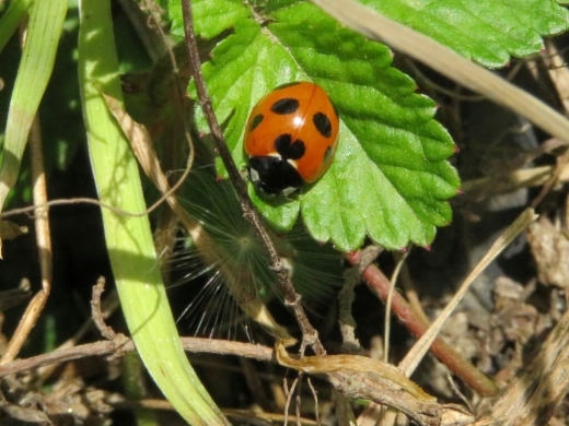 a0018655_14592639.jpg