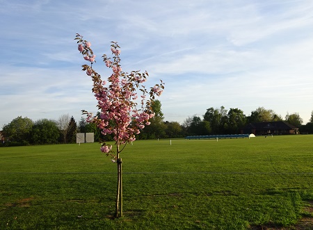 e0010856_122186.jpg