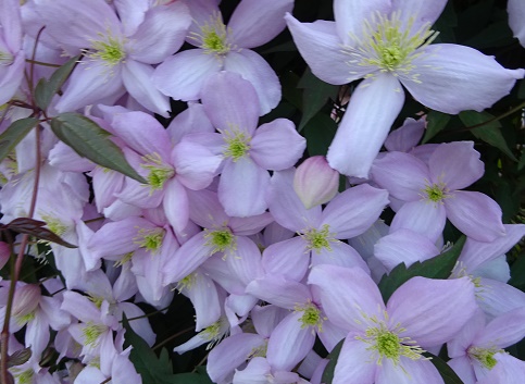 e0010856_123339.jpg