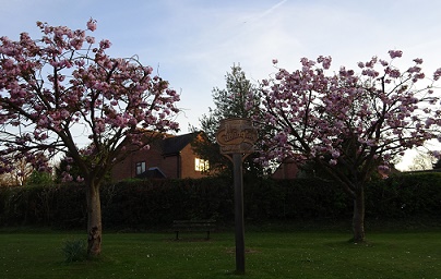 e0010856_1241079.jpg