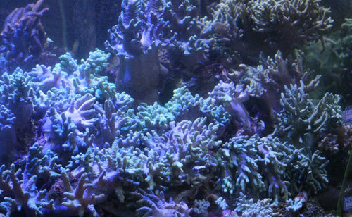 c0165758_23580846.jpg
