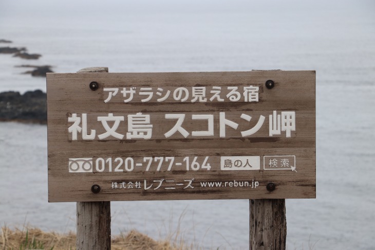 a0248459_15391007.jpg