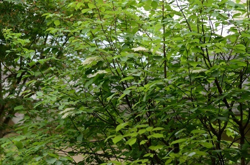 c0186463_23475963.jpg