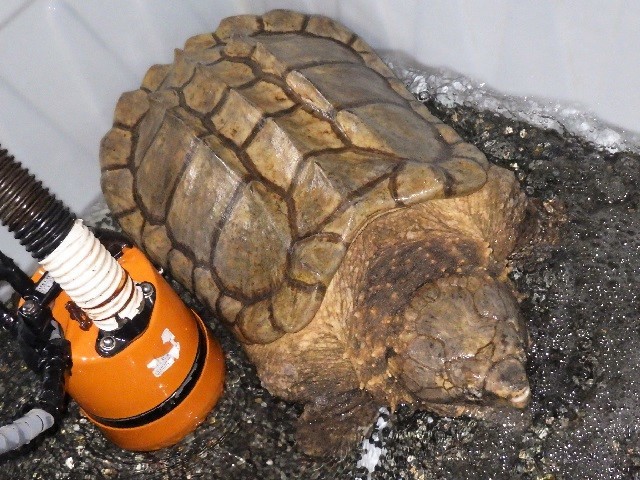 c0105569_00352961.jpg