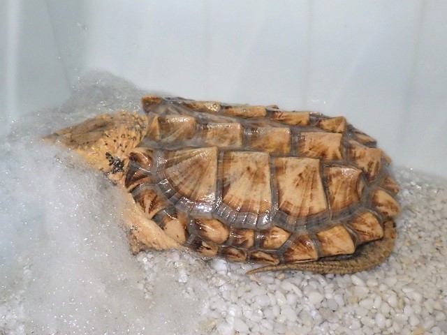 c0105569_00353605.jpg