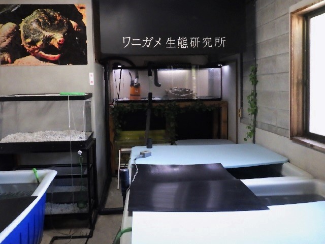 c0105569_00354089.jpg