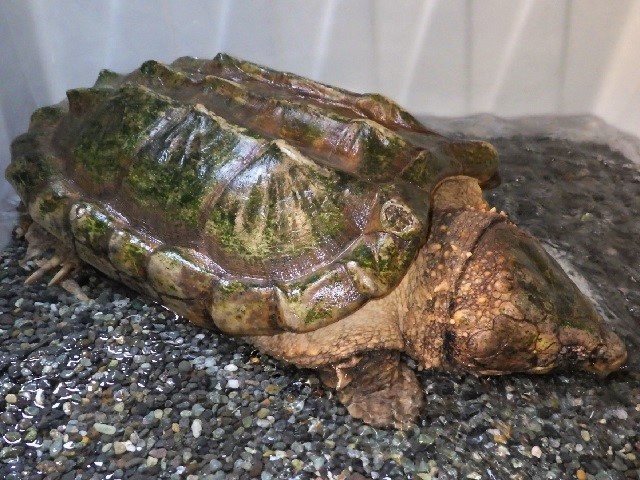 c0105569_00362178.jpg