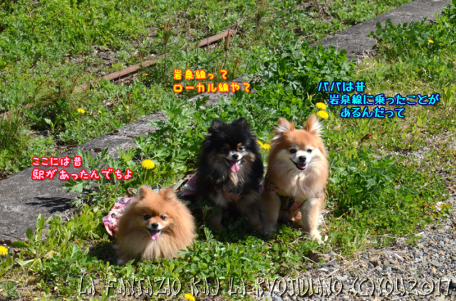 a0004070_22312933.jpg