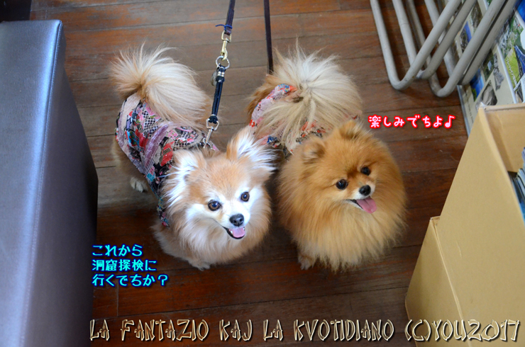 a0004070_22480118.jpg