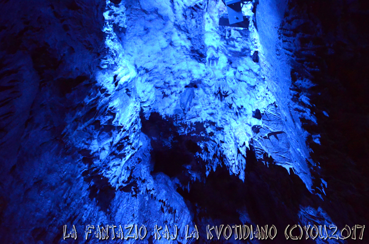a0004070_22570504.jpg