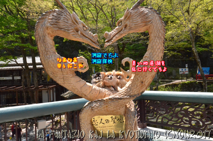 a0004070_23174081.jpg