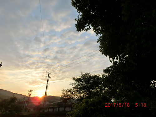 d0007071_2223262.jpg
