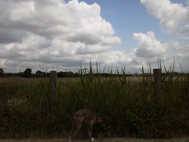 b0155973_23162487.jpg