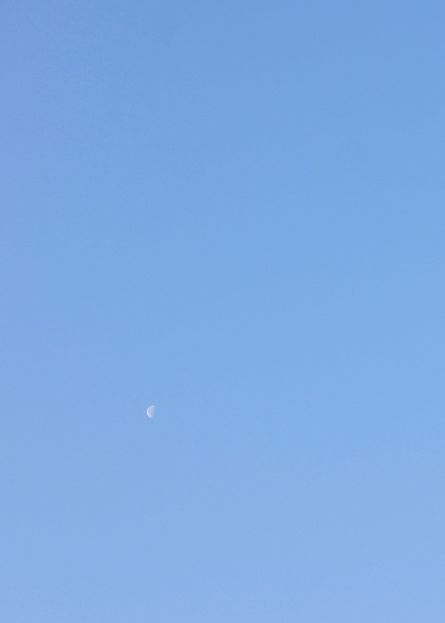 c0169176_72719.jpg