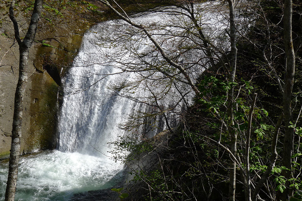 f0109977_23200961.jpg