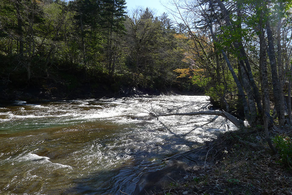 f0109977_23202152.jpg