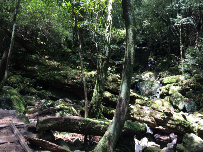 b0174284_11193949.jpg