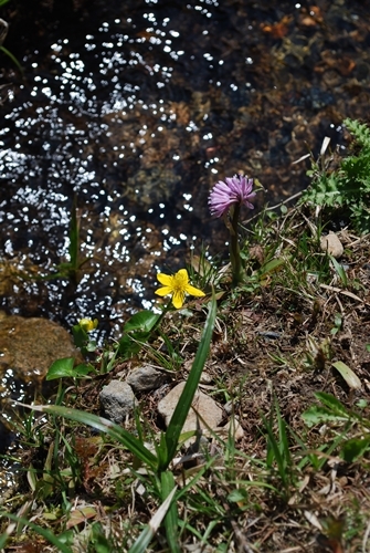 a0133886_14280263.jpg